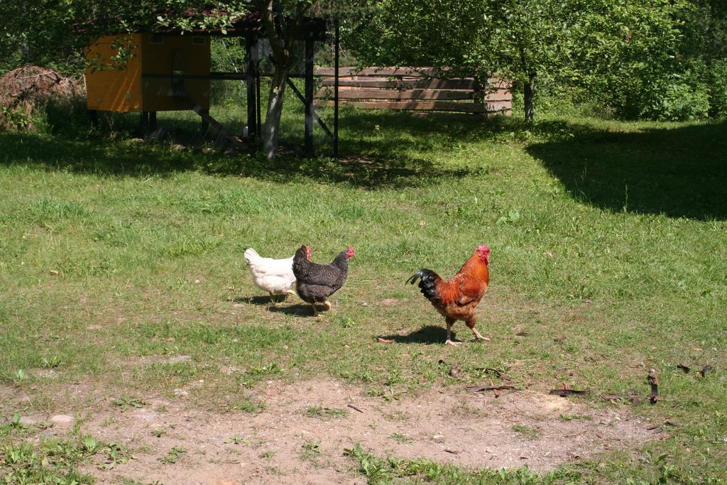 Nature Retreat "Upes Dizvietas" Krasław Zewnętrze zdjęcie