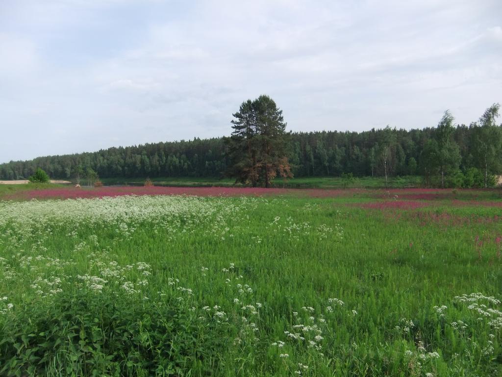 Nature Retreat "Upes Dizvietas" Krasław Zewnętrze zdjęcie